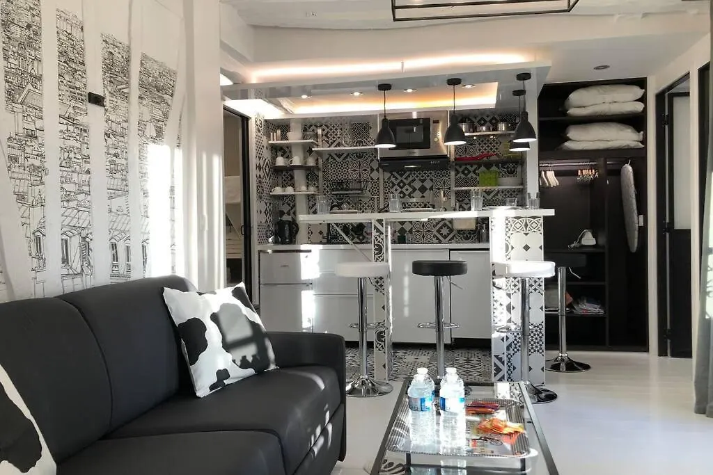 Appartement Rousselet Quartier Bon Marché Paris VIIème-1